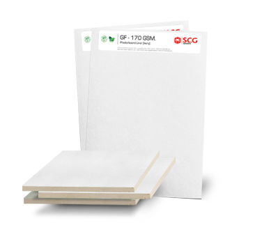 สีขาว_gypsum liner face – high bright Gypsum Liner Face – High Bright supplier by SCG International