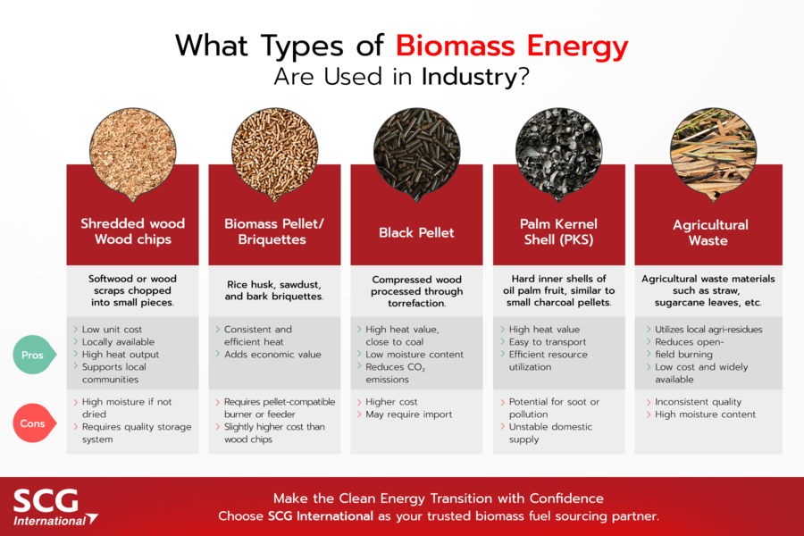 Blog 01_Biomass (1) Blog 01_Biomass