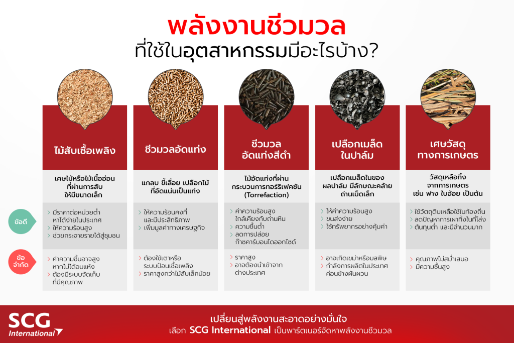 เชื้อเพลิงชีวภาพ