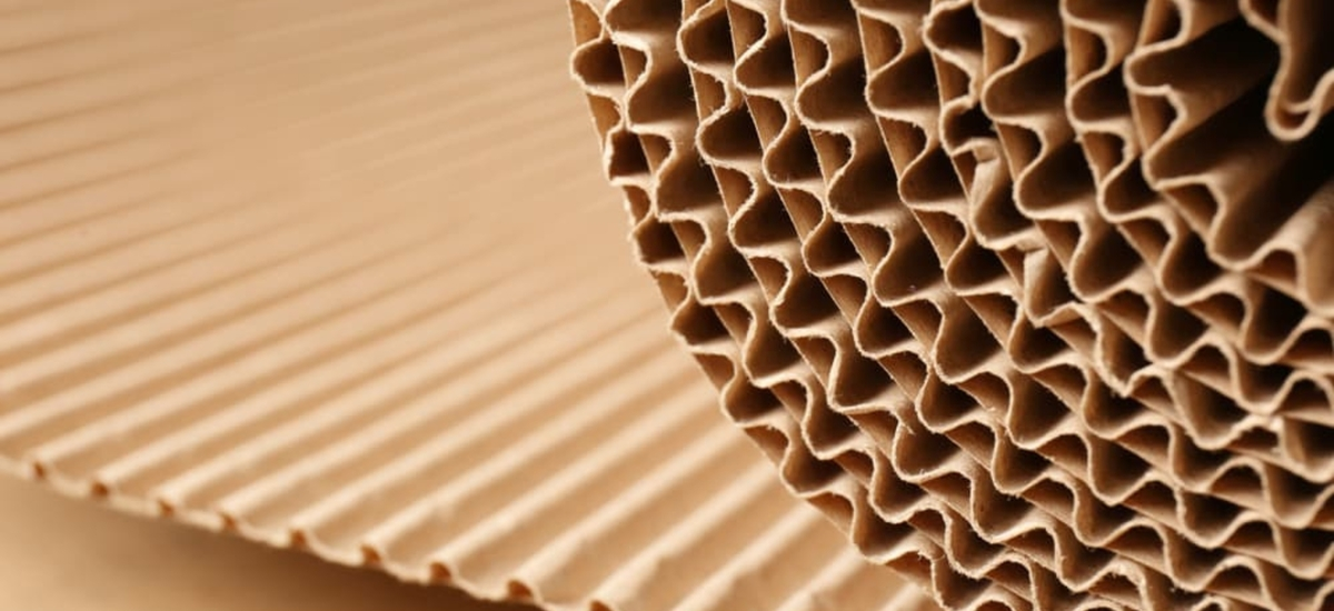 SCG offers diverse quality sustainable kraft paper solutions.