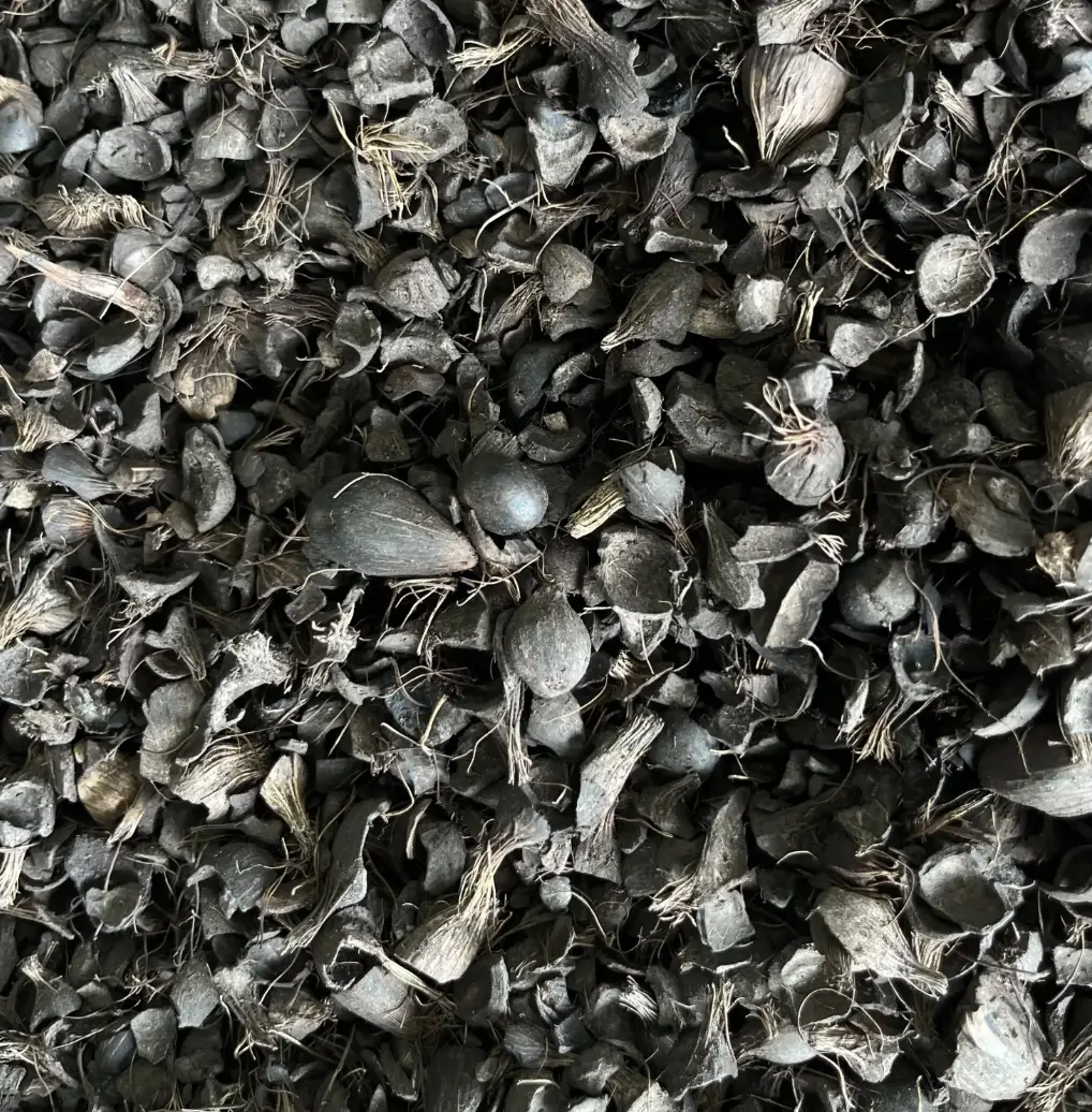 Palm kernel shell (PKS) SCG International is able to deliver quality wood pellet worldwide