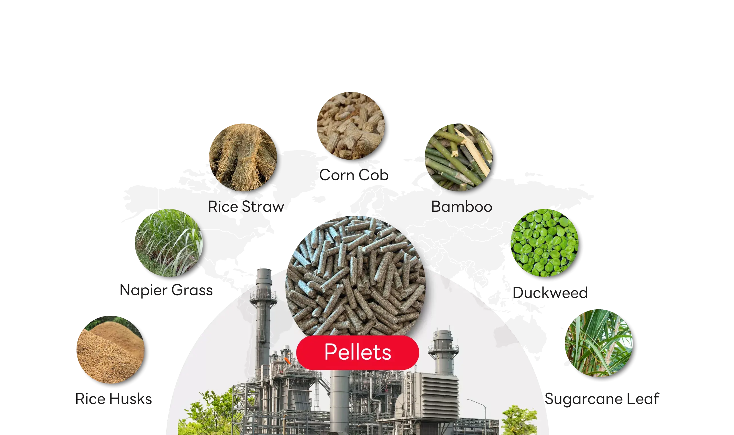 Agricultural-waste Agricultural waste by SCG International